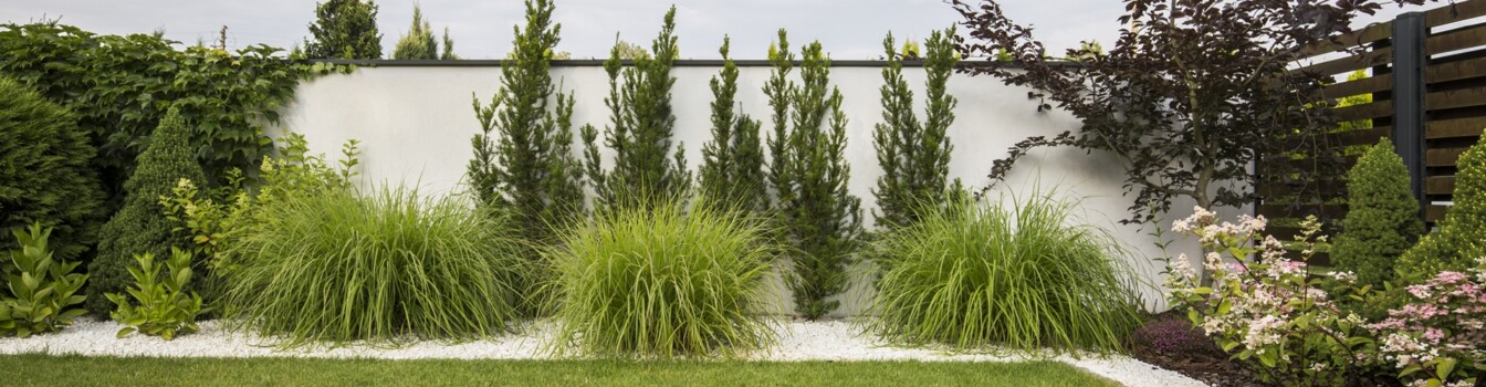 Green grass, flowers and trees on the terrace with bushes and white stones